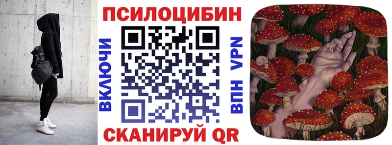 Галлюциногенные грибы мицелий  Светогорск 